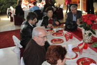Festivalul Brazilor de Craciun 066