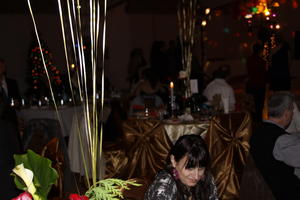 Album Revelion 2011 063