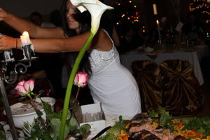 Album Revelion 2011 142