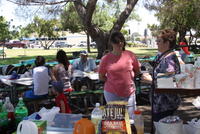 Picnic Pescaresc Iunie 2012 086