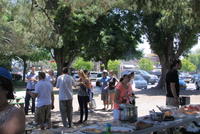 Picnic Pescaresc Iunie 2012 088