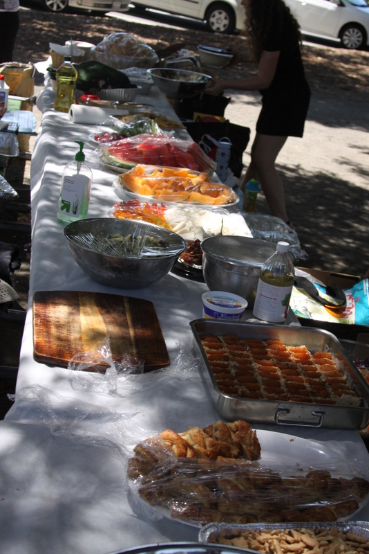 Picnic Pescaresc Iunie 2012 024